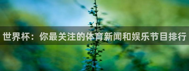 亚洲杯足球:世界杯:你最关注的体育新闻和娱乐节目排行