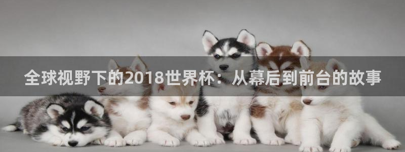 世界杯2026赛程:全球视野下的2018世界杯:从幕后到前台的故事