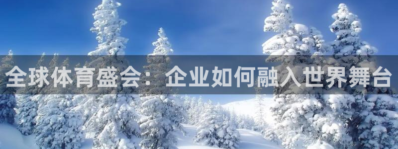 澳门世界杯直播:全球体育盛会:企业如何融入世界舞台
