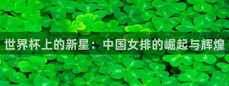 世界杯预赛赛程:世界杯上的新星:中国女排的崛起与辉煌