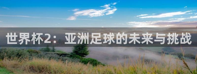 世界杯球赛:世界杯2:亚洲足球的未来与挑战