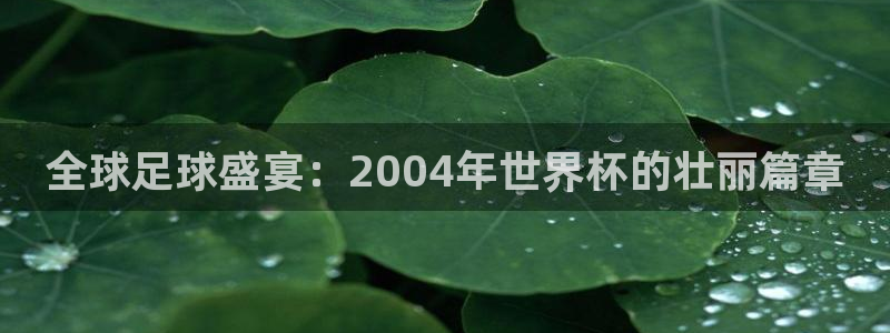 世预赛免费直播入口:全球足球盛宴:2004年世界杯的壮丽篇章